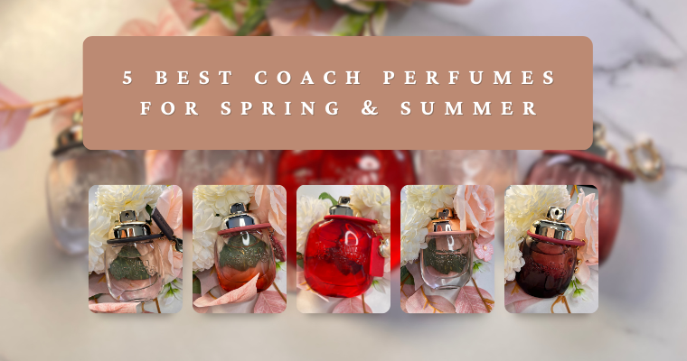 Best Coach Perfumes